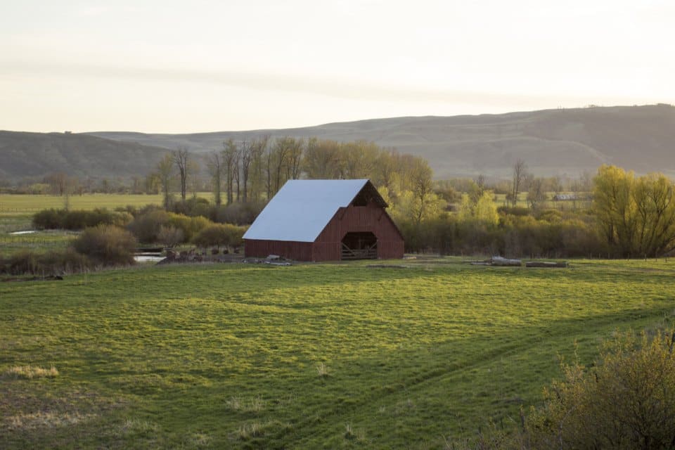 Red barn with a metal roof in a green field